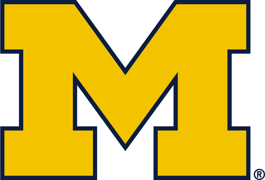 Michigan Wolverines 2016-Pres Alternate Logo diy iron on heat transfer